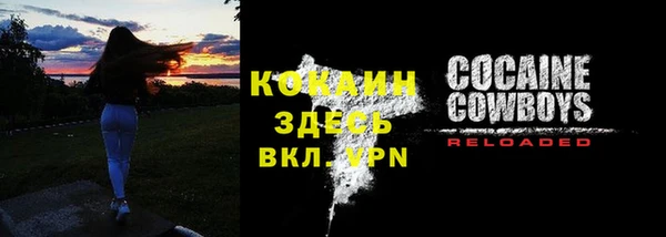 гашик Переславль-Залесский