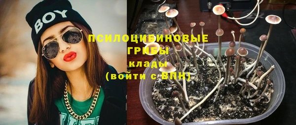 гашик Переславль-Залесский