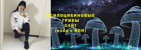 прущая мука Пестово